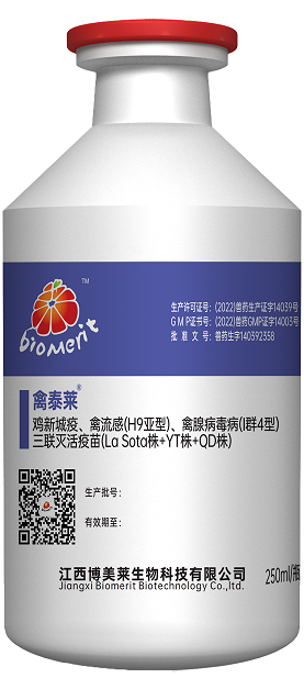 918博天堂·btt(中国游)官方网站