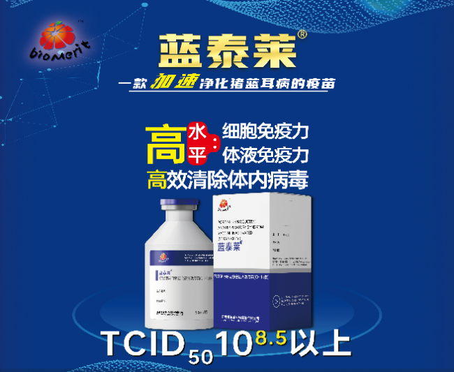 918博天堂·btt(中国游)官方网站