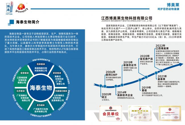 918博天堂·btt(中国游)官方网站