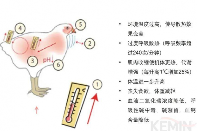 918博天堂·btt(中国游)官方网站