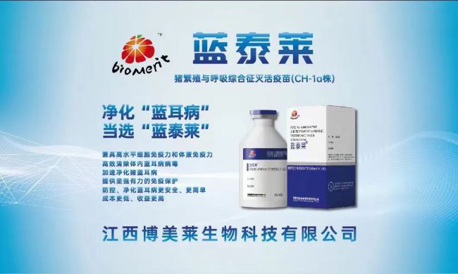 918博天堂·btt(中国游)官方网站