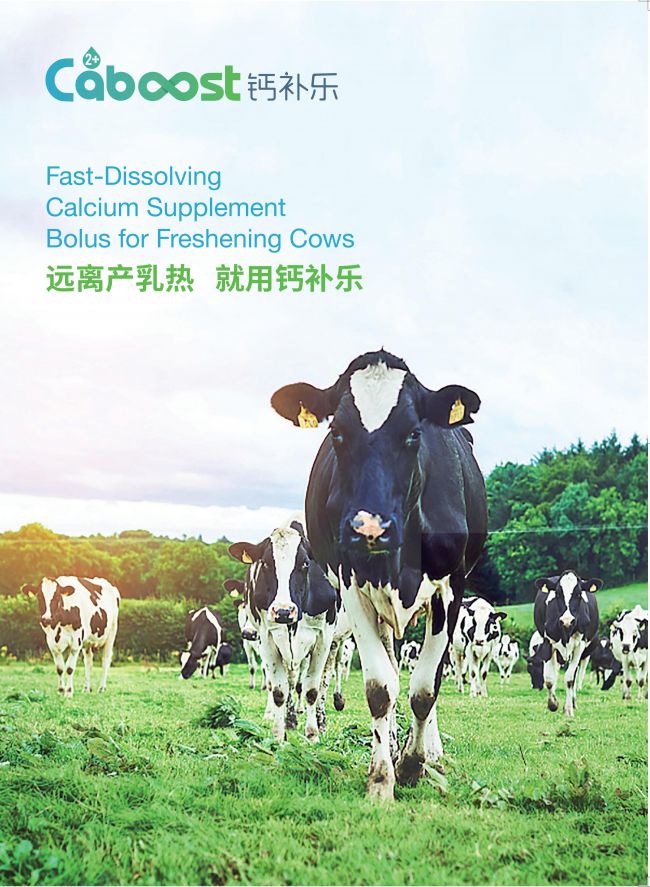 918博天堂·btt(中国游)官方网站