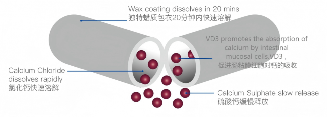 918博天堂·btt(中国游)官方网站