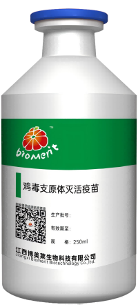 918博天堂·btt(中国游)官方网站